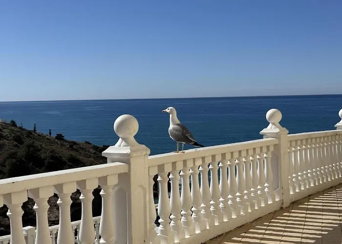 Benidorm, Palm Bay, Levante 公寓 *